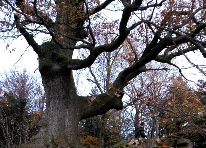 Die Seele von Orten und das Verstehen von Landschaften