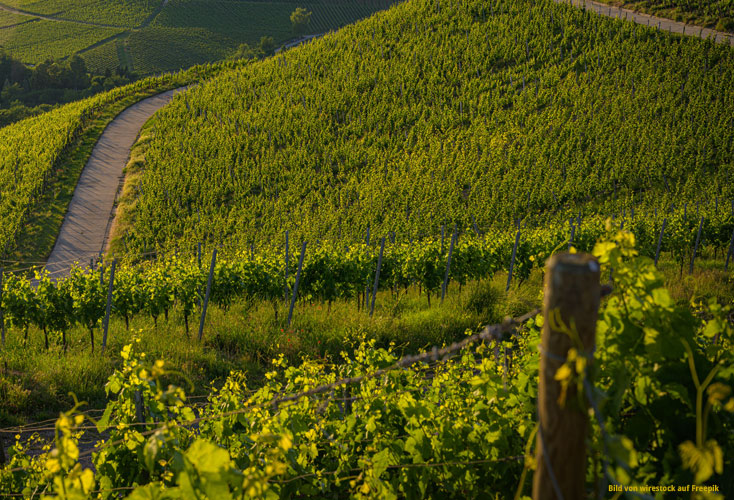 Rund um die Yburg – Wandern und Singen