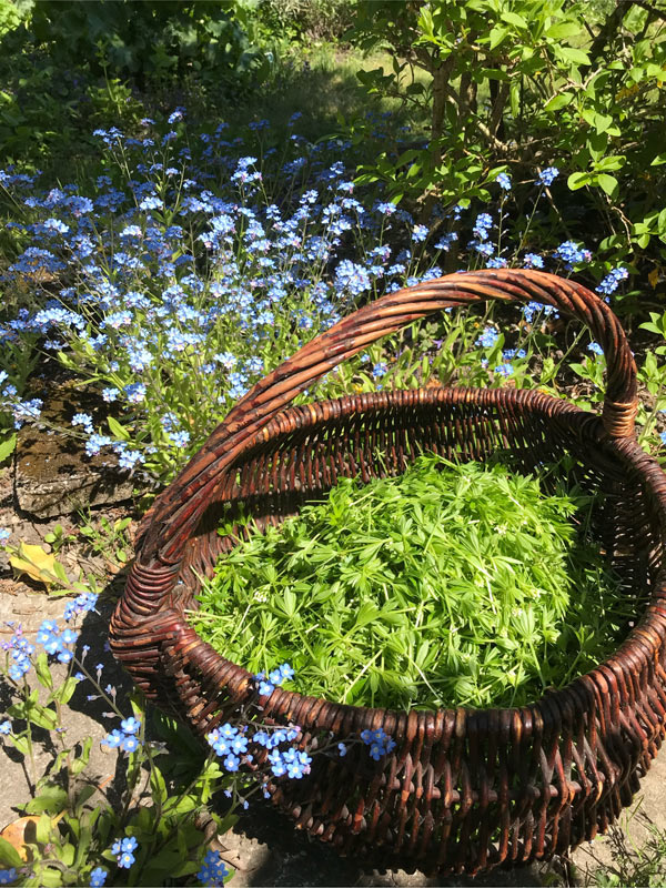 Mit der Waldmutterkraft den Mai grüßen.